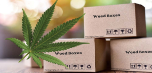 brand’s potential with custom weed boxes that stand out